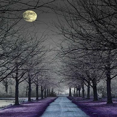 Moonlight Path Aroma Beads